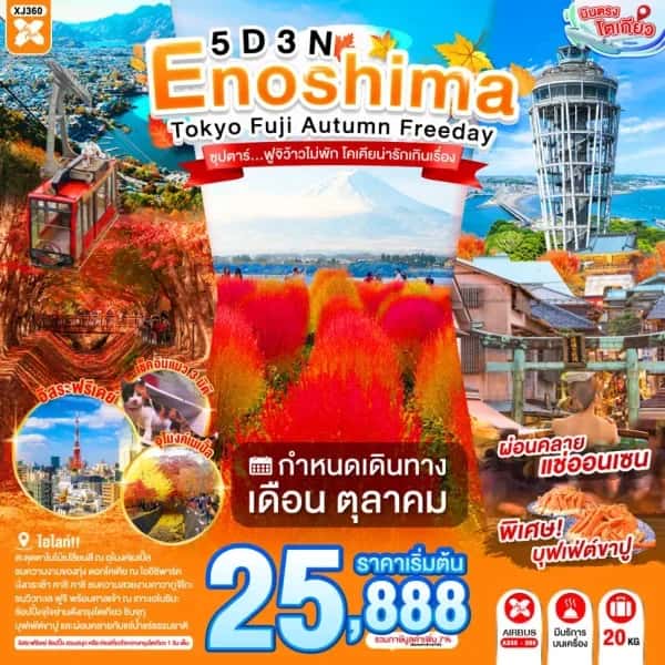 NT202607104-ทัวร์ญี่ปุ่น ENOSHIMA TOKYO FUJI AUTUMN FREEDAY   ซุปตาร์...ฟูจิว้าวไม่พัก โคเคียน่ารักเกินเรื่อง  5D 3N